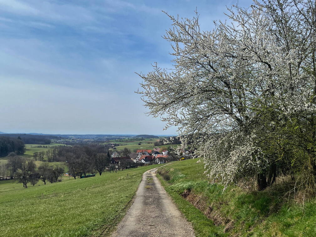 25-03-21 12-48-59 2489